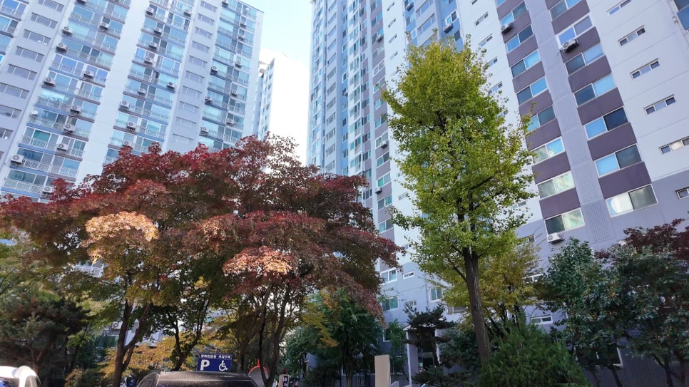 부평구 청천동 푸르지오 33평형 LX창호 교체 시공 사례